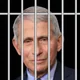 polymarket Anthony Fauci jail by EoY?