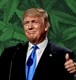 polymarket Trump EO easing access or decriminalizing weed by Friday?