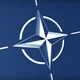 polymarket NATO article 5 in 2025?