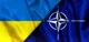 polymarket Ukraine joins NATO in 2025?