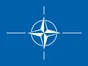 polymarket NATO article 5 before March?