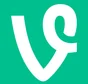 polymarket X relaunches Vine in 2025?