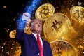 polymarket Will Trump Media invest in Bitcoin before March?